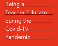 Being a Teacher Educator during the COVID-19 Pandemic